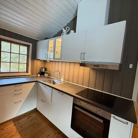 8 Person In Hellandsjoen Feriehus *